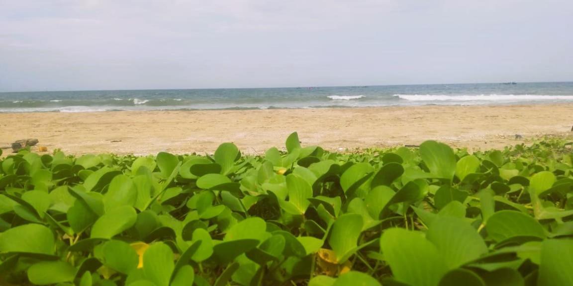 Chan Beach Resort Bahur ภายนอก รูปภาพ